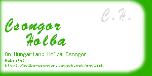 csongor holba business card